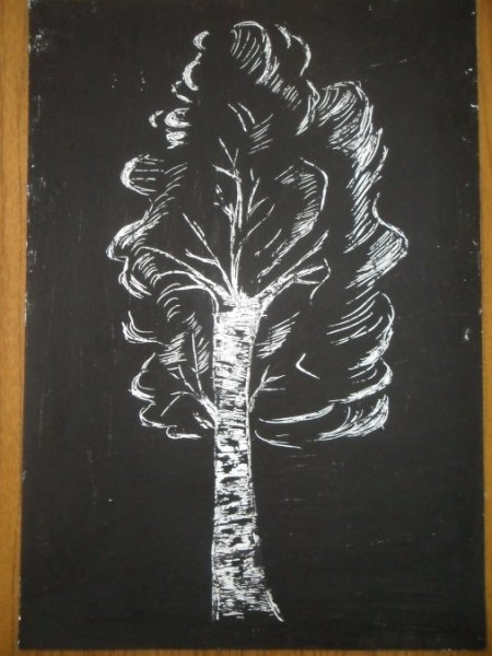 Деревья на черной бумаге