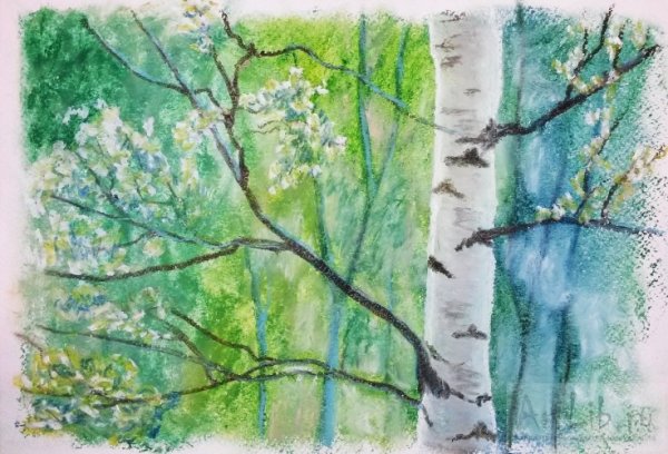 Береза акварелью для детей