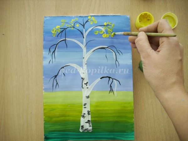 Рисование березы для детей