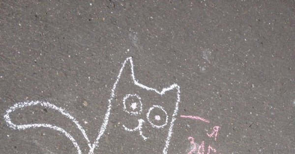 Кот мелом на асфальте