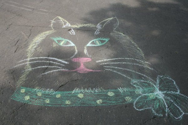 Кот мелом на асфальте