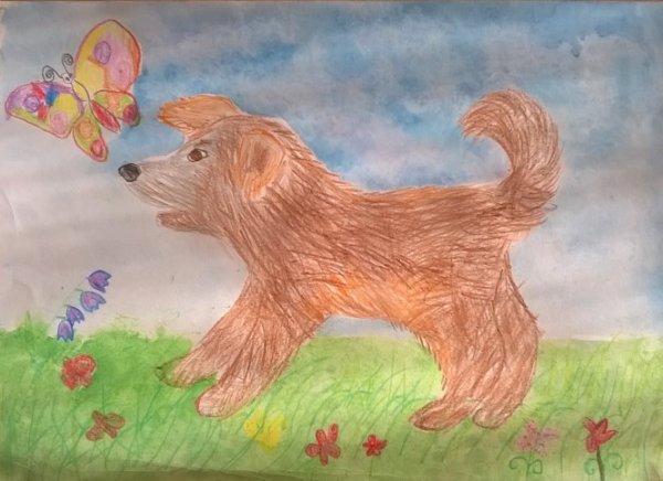 Детские рисунки собак