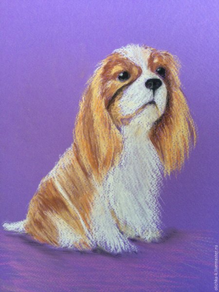 Собака пастелью