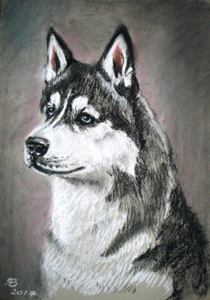 Художники в лайке