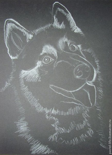 Рисование мелками на черной бумаге