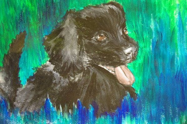 Собака гуашью