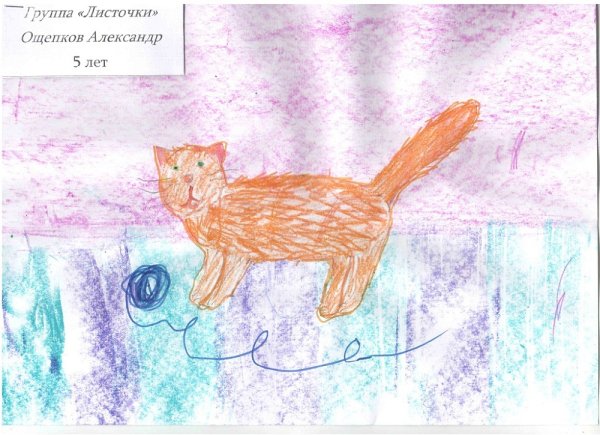 Рисование кошки в старшей группе