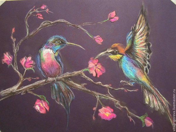 Чарльз Ксури Колибри 1968