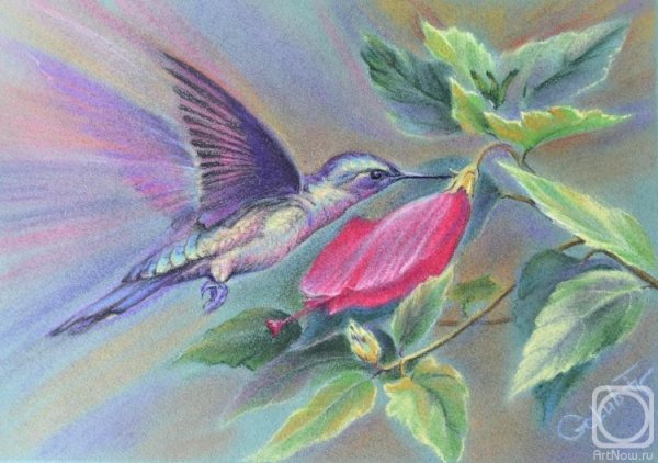 Картина Колибри художник