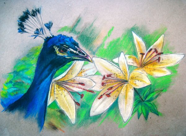 Рисование восковыми мелками птиц