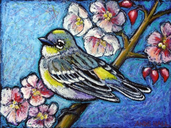 Рисование пастелью птицы