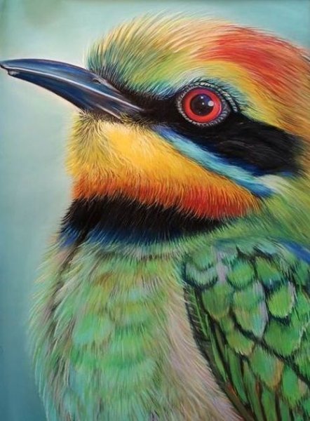 Птицы цветными карандашами