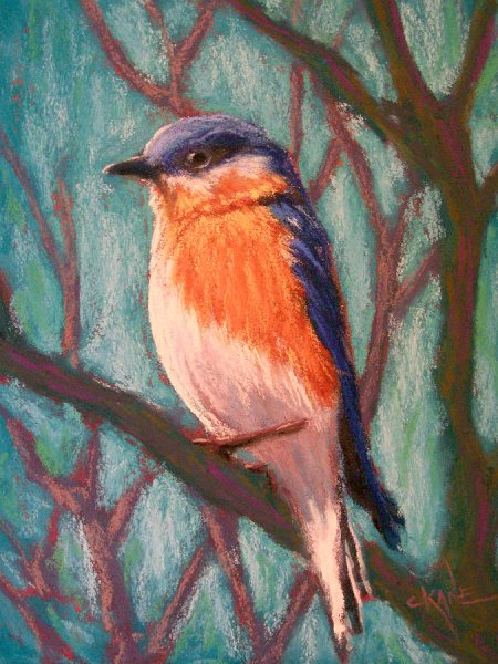 Сойка пастельными мелками