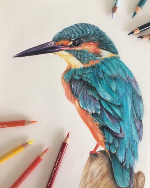 Карандаши цветные