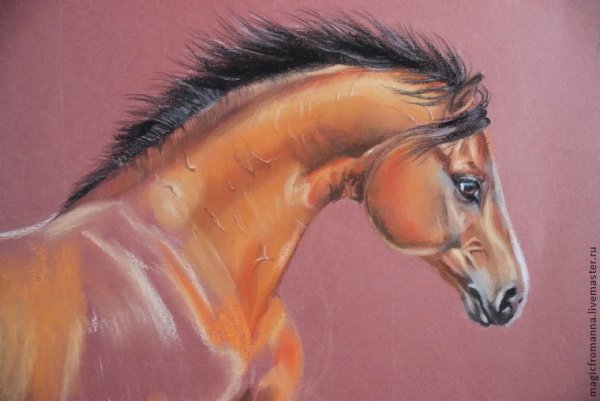 Лошадь рисунок