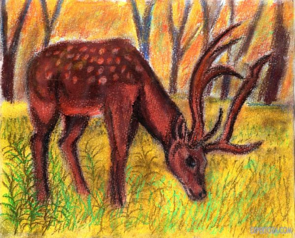 Рисование пастелью для детей