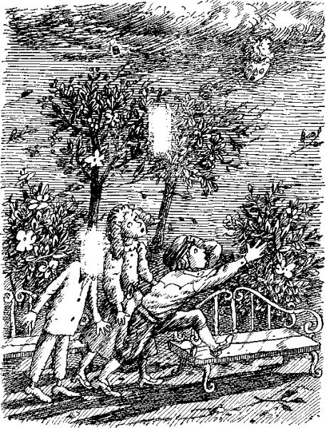 Софус Волшебный мелок