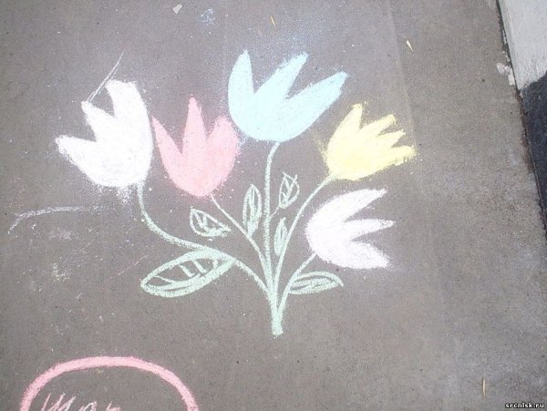 Цветы мелом на асфальте