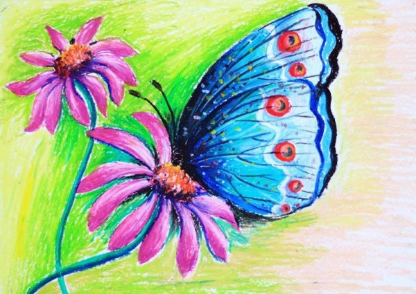 Рисование бабочки