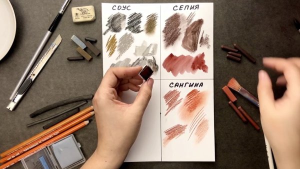 Соус сепия сангина уголь