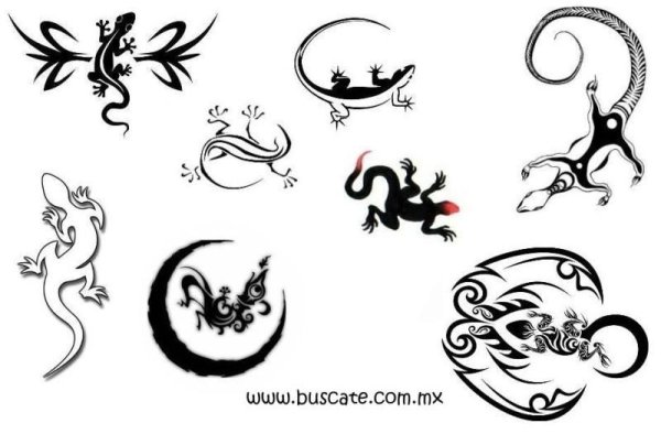 Тату ящерица эскизы для девушек