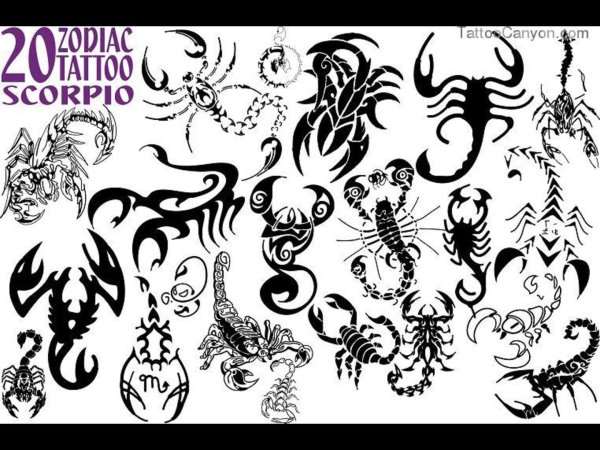 Знак зодиака Скорпион тату эскизы