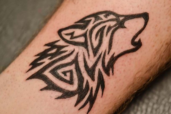 Тату хной волк