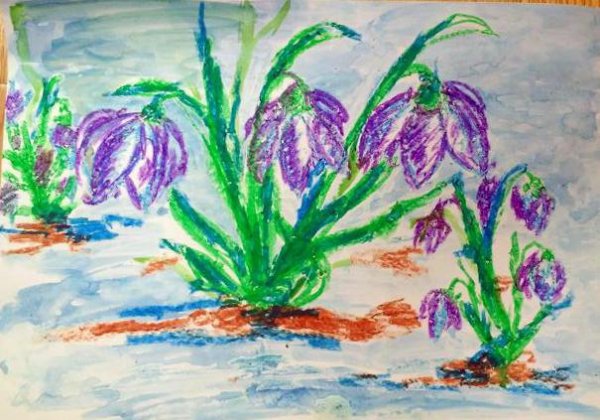 Рисование первоцветы старшая группа