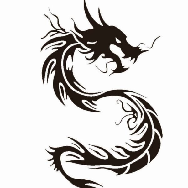 Тату дракон