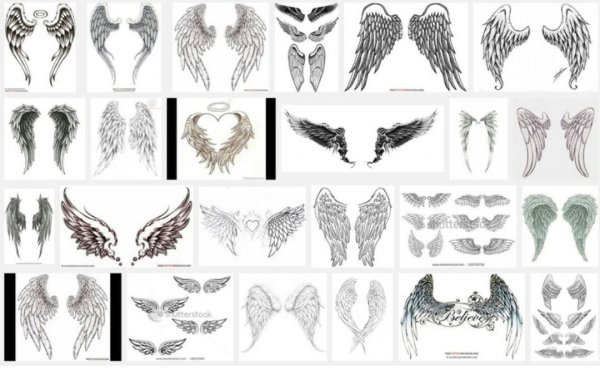 Тату Крылья ангела