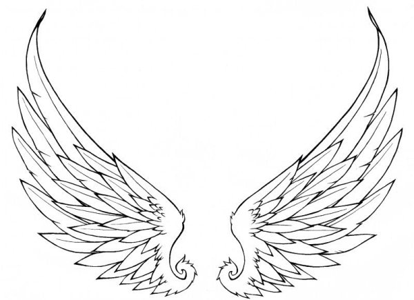 Крылья тату эскиз