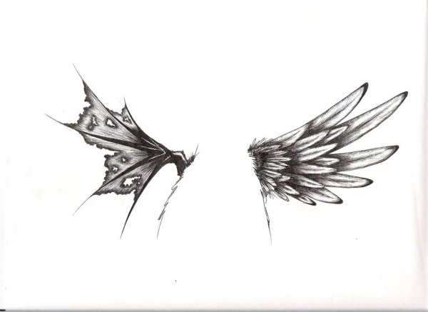 Крылья бабочки эскиз тату