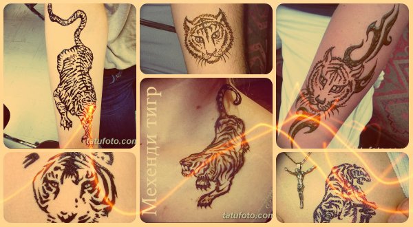 Трайбл тигр