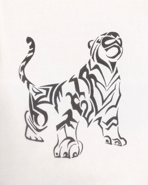 Тигр трайбл эскиз