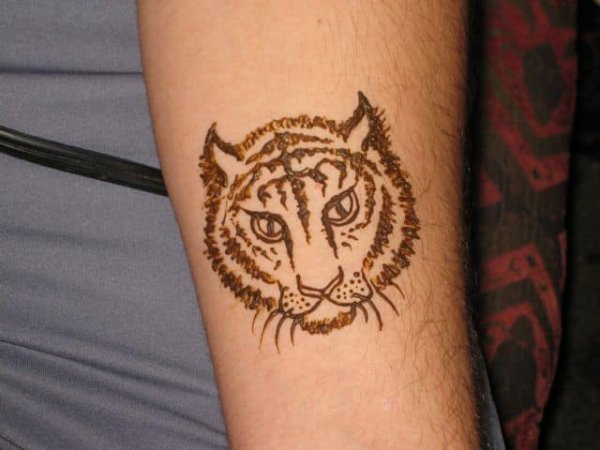 Тату тигра эскизы трайбл