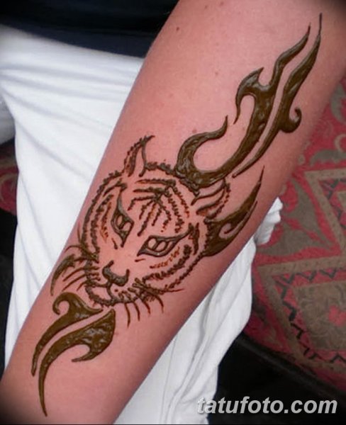Тигр для тату из хны