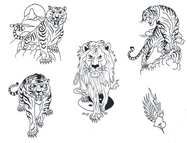 Лев и тигр тату эскиз