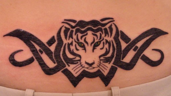Тигр хной