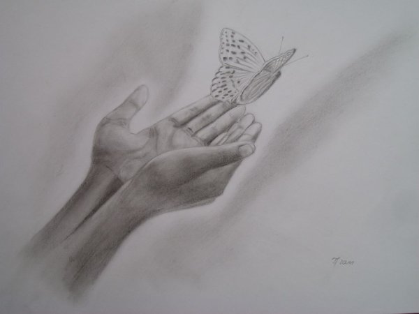 Рука с бабочкой карандашом