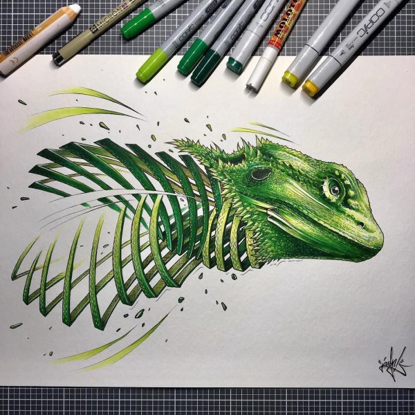 Дракон маркерами