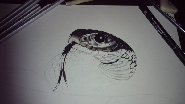 Змея фломастером