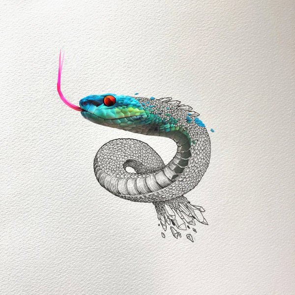 Змея Минимализм