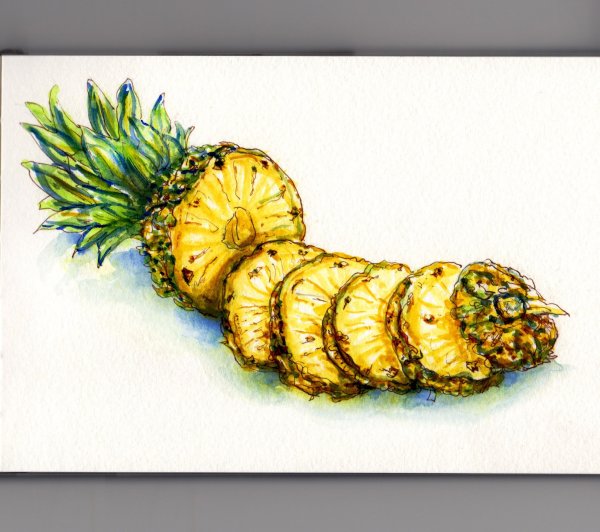 Ананас скетчинг