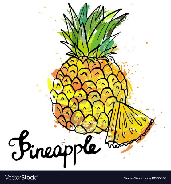 Ананас рисунок