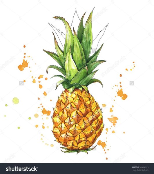 Скетчинг ананас маркерами