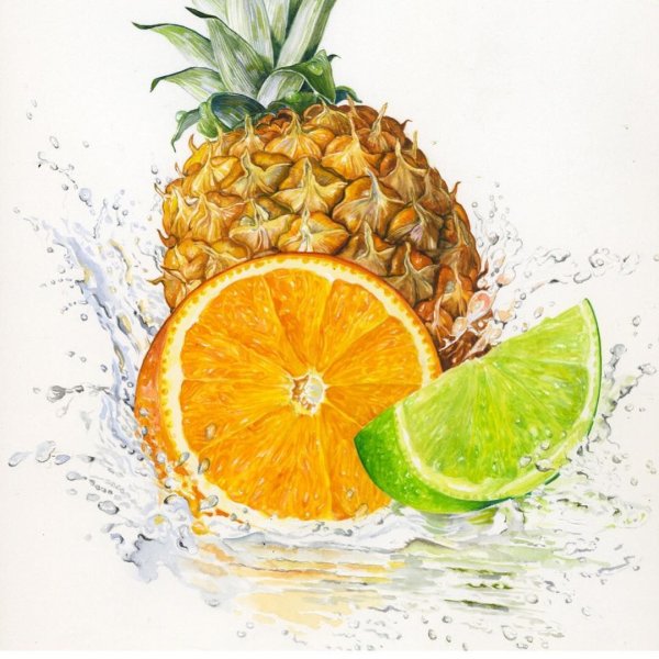 Ананас скетчинг