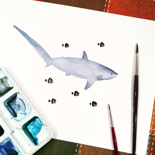Акула из Икеи маркерами