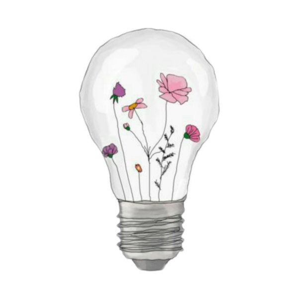 Цветы в лампочке эскиз