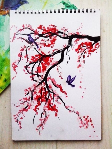 Сакура рисунок красками