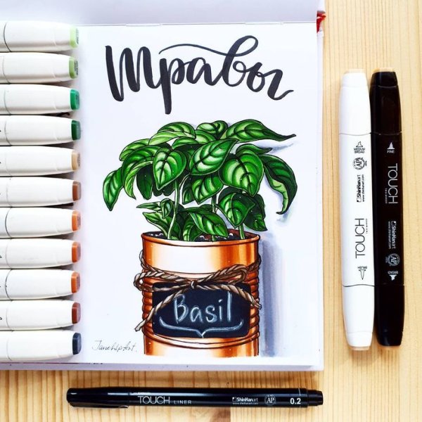 Референс для скетчинга маркерами